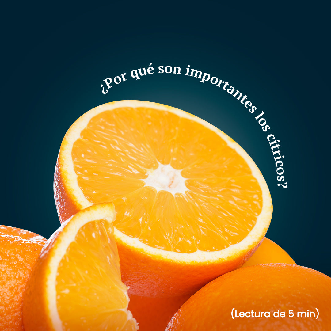 ¿Por qué son importantes los cítricos? 