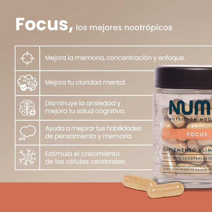 Focus | Memoria y Concentración - Numo | Nutrición Moderna