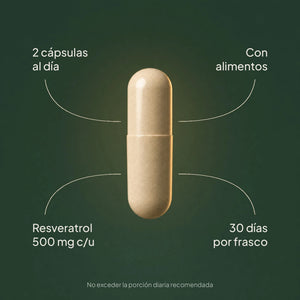 Resveratrol | Antioxidante y Longevidad Celular