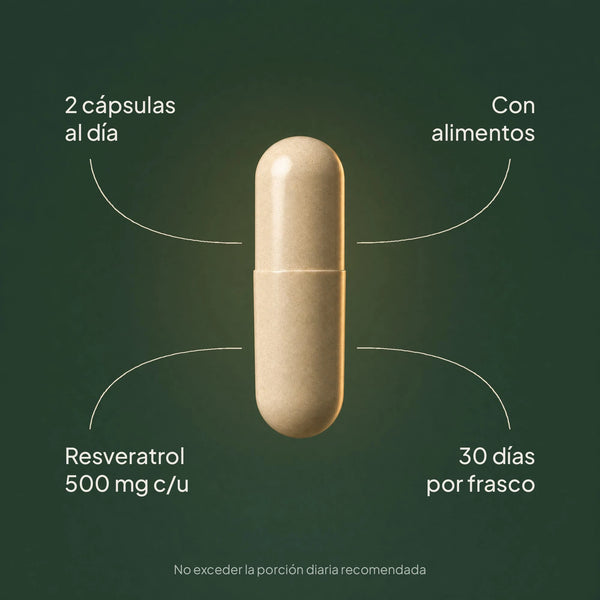 Resveratrol | Antioxidante y Longevidad Celular